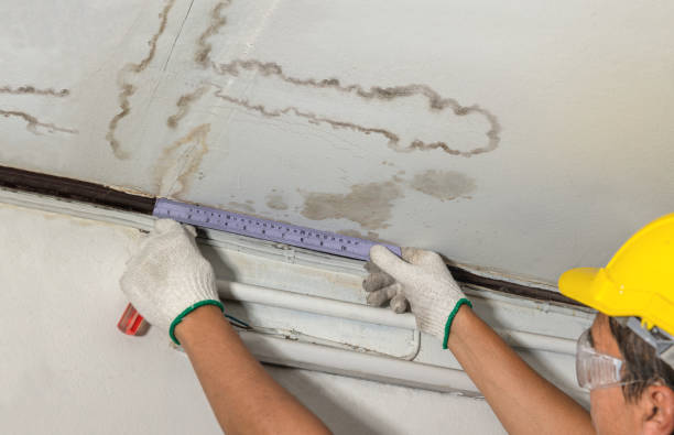 Reliable Flood Cleanup contractor in Meridian, CO by Water Damage Irwin